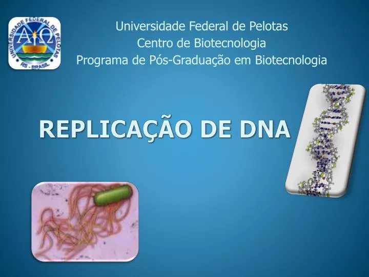 replica o de dna