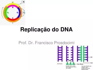 replica o do dna