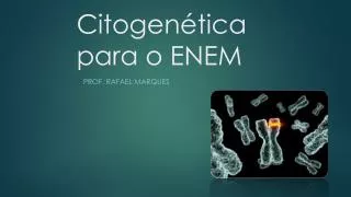 citogen tica para o enem