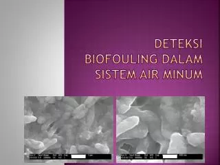deteksi biofouling dalam sistem air minum