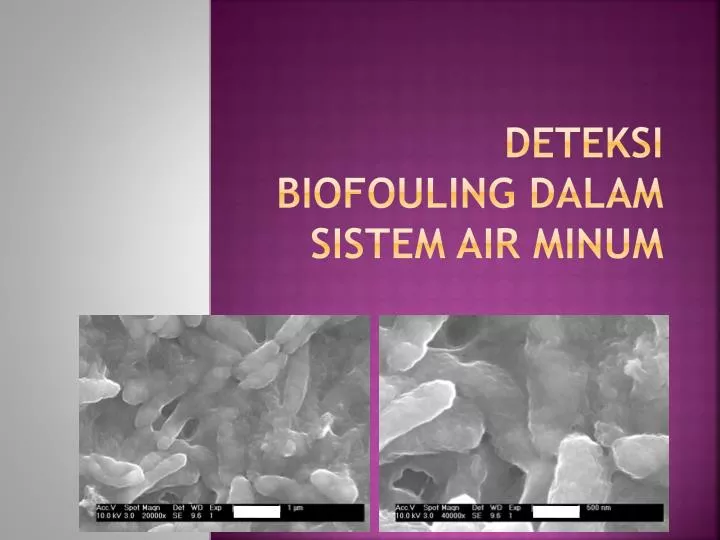 deteksi biofouling dalam sistem air minum
