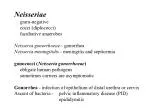 Neisseriae 	gram-negative 	cocci (diplococci) 	facultative anaerobes - slide 1