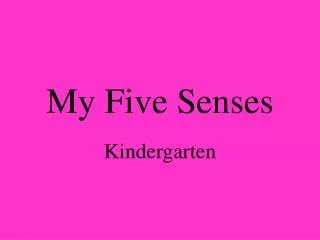 my five senses