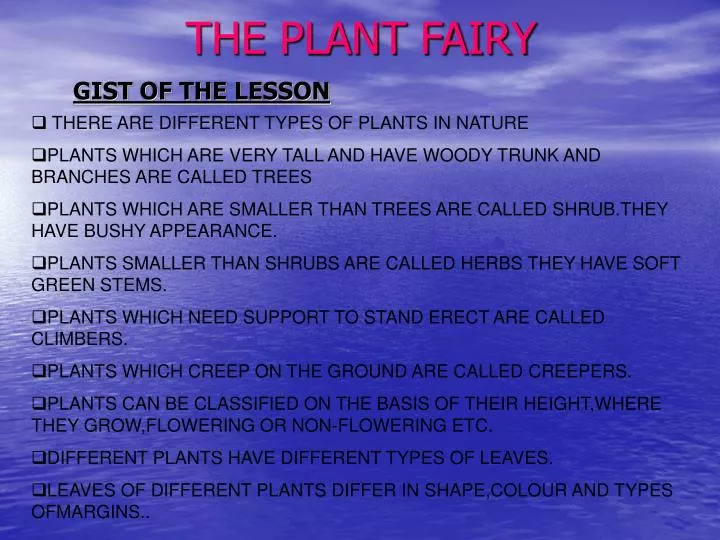 the plant fairy