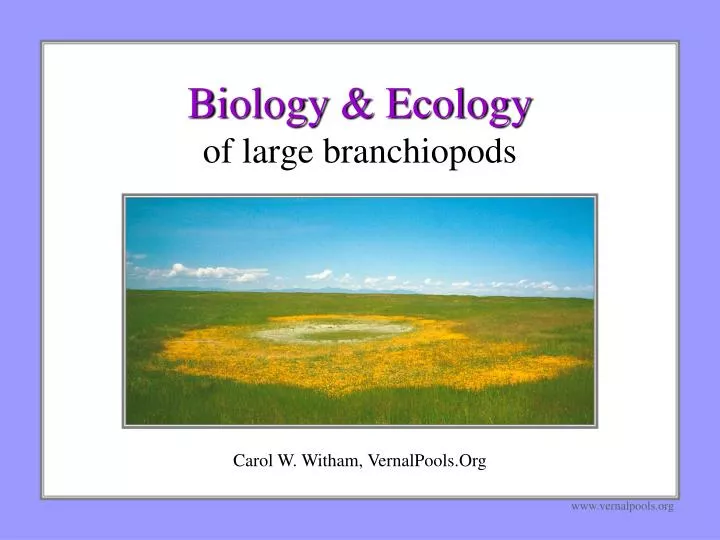 biology ecology of large branchiopods
