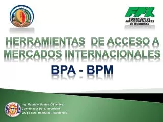 herramientas de acceso a mercados internacionales bpa bpm