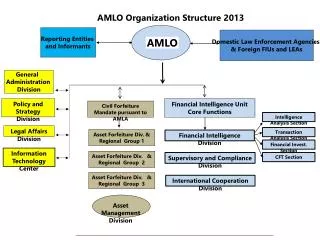 AMLO Organization Structure 2013