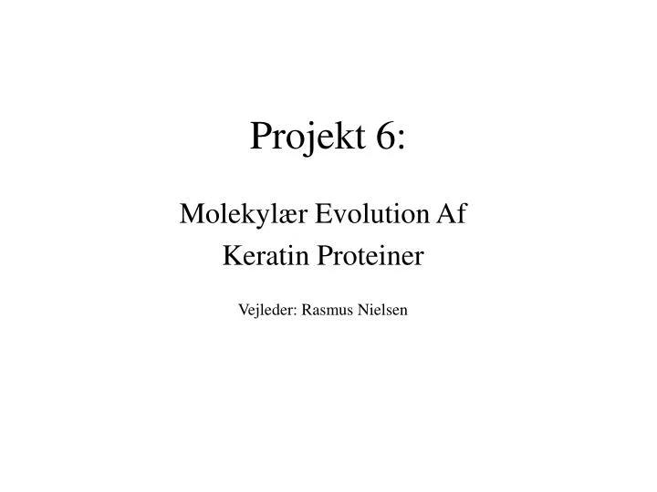 projekt 6