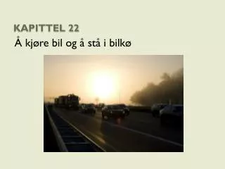 kapittel 22