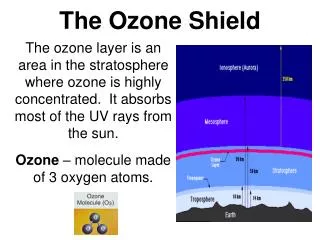 The Ozone Shield