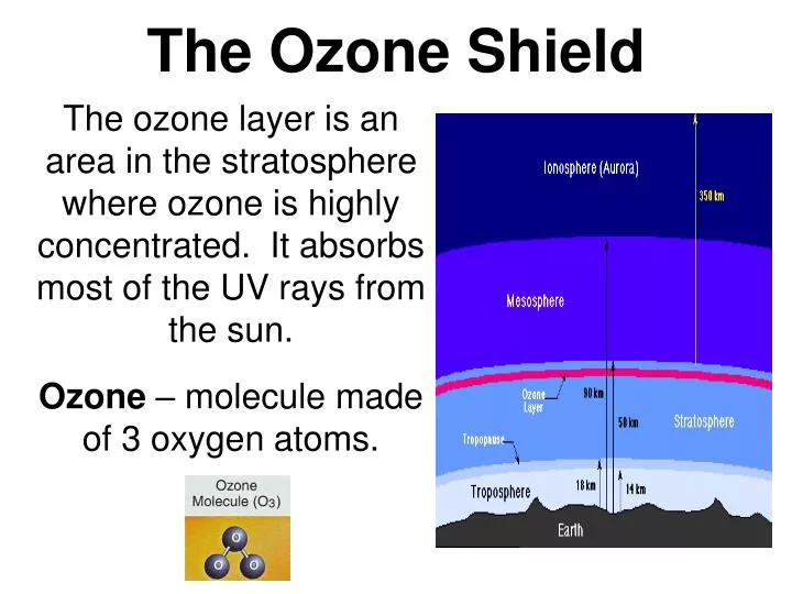 the ozone shield