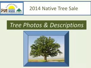 2014 Native Tree Sale