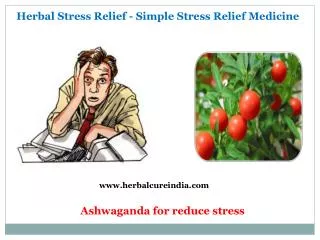 Herbal Stress Relief - Simple Stress Relief Medicine