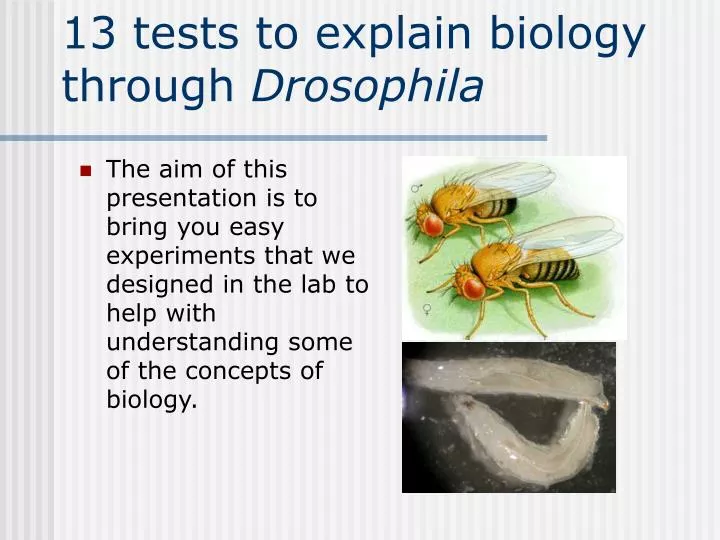 13 tests to explain biology through drosophila
