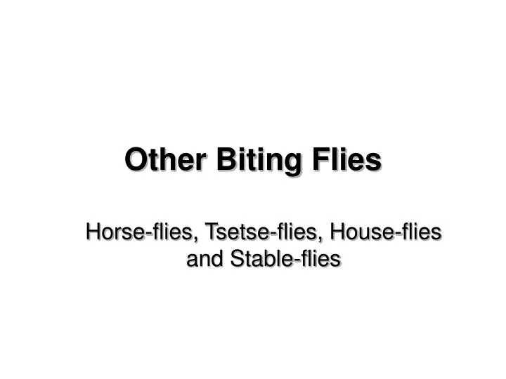 other biting flies