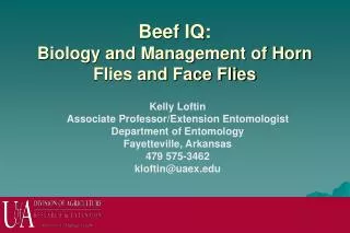 Beef IQ: Biology and Management of Horn Flies and Face Flies