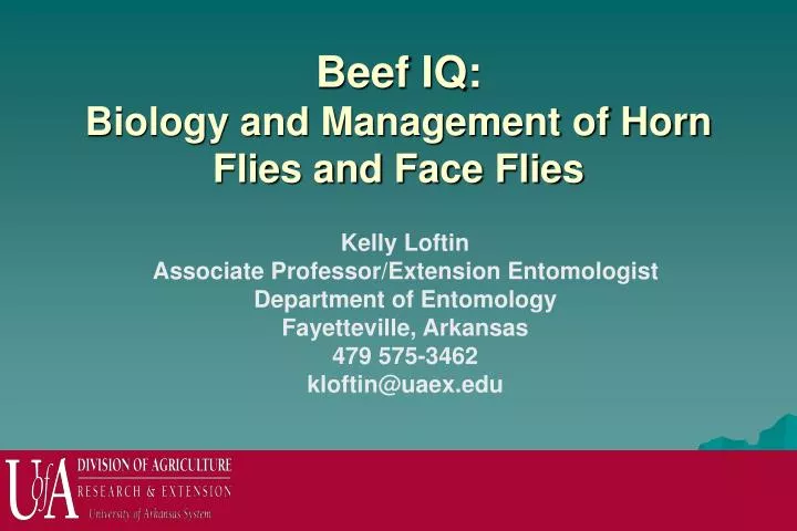 beef iq biology and management of horn flies and face flies