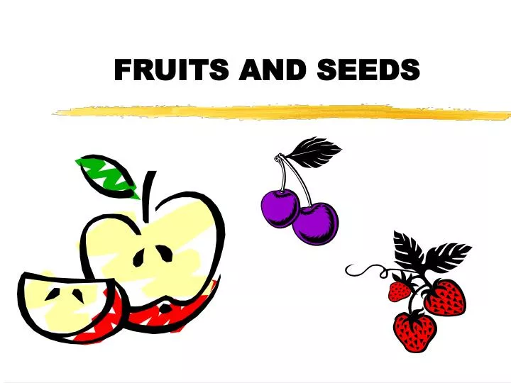 fruits and seeds