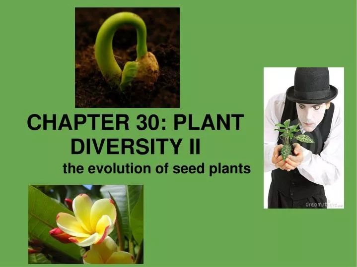 chapter 30 plant diversity ii