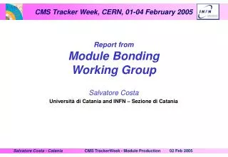 Report from Module Bonding Working Group