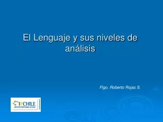 el lenguaje y sus niveles de an lisis