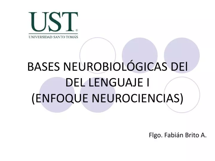 bases neurobiol gicas del del lenguaje i enfoque neurociencias
