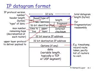 ip datagram format