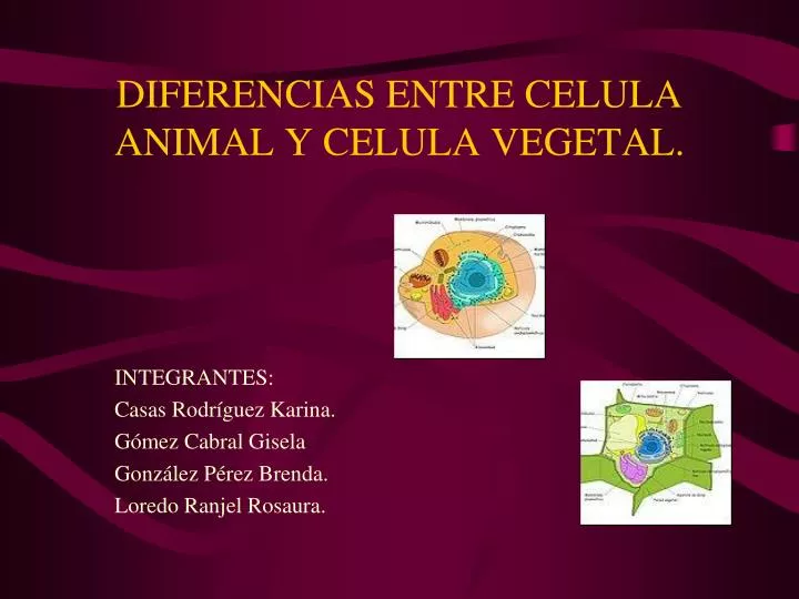 diferencias entre celula animal y celula vegetal