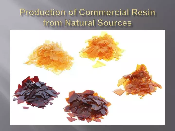 production of commercial resin from natural sources