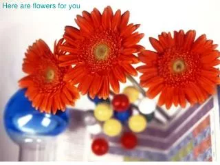 Here are flowers for you