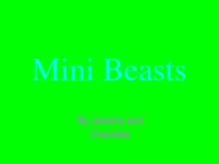 mini beasts