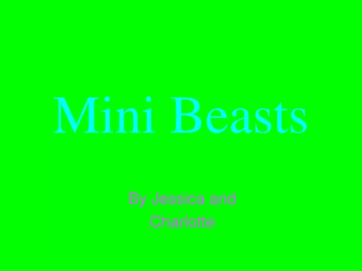 mini beasts