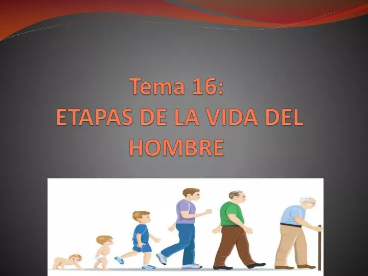 tema 16 etapas de la vida del hombre