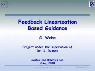 Feedback Linearization Based Guidance