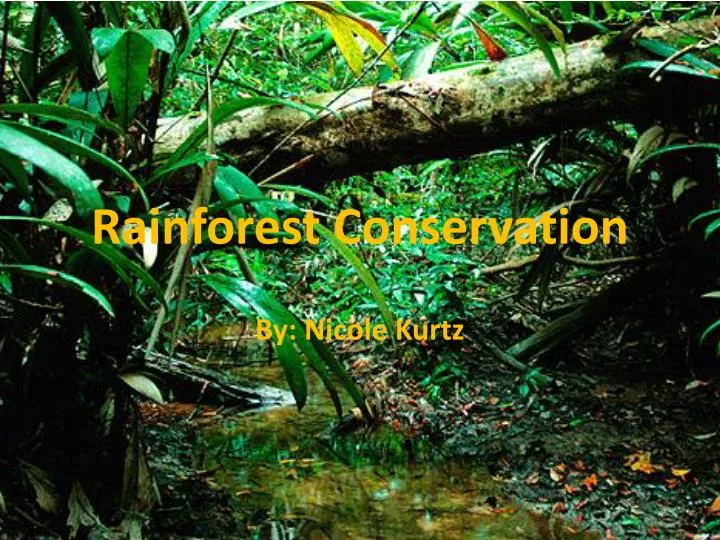 rainforest conservation