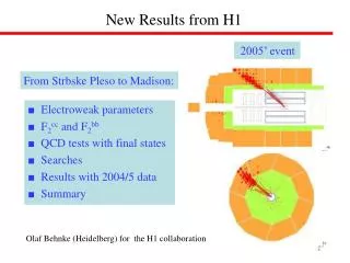 New Results from H1
