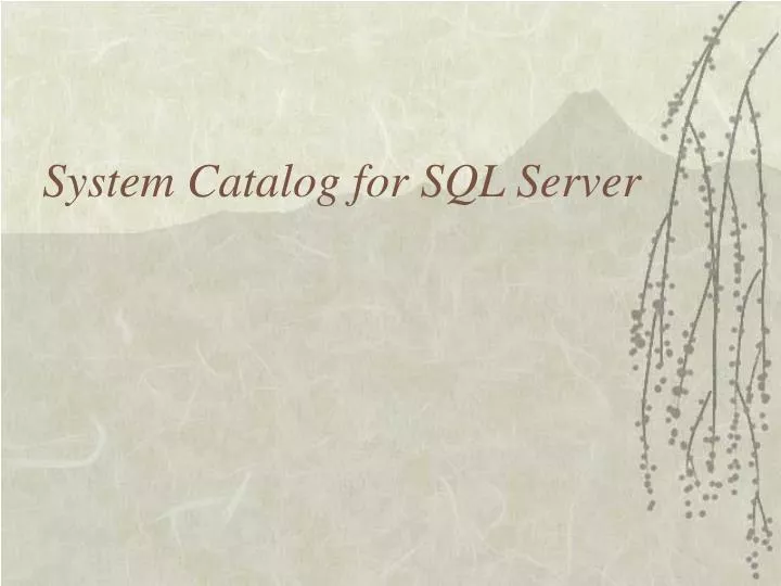 system catalog for sql server