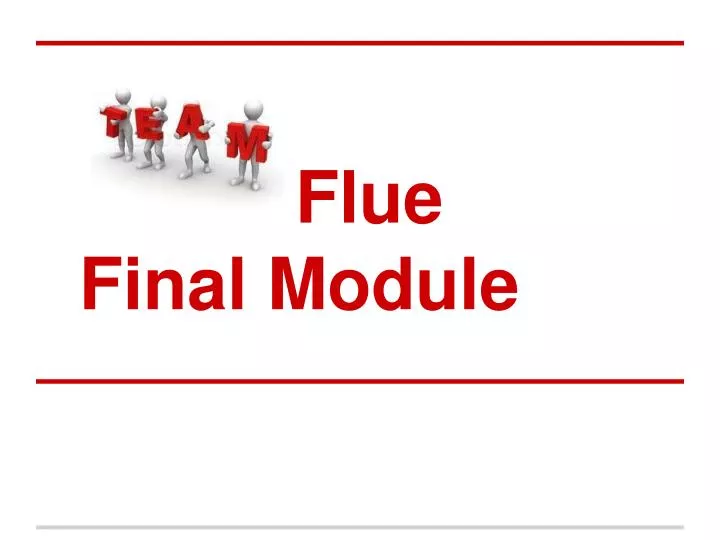 flue final module