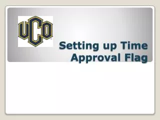 Setting up Time Approval Flag