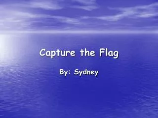 Capture the Flag