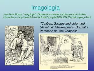 imagolog a