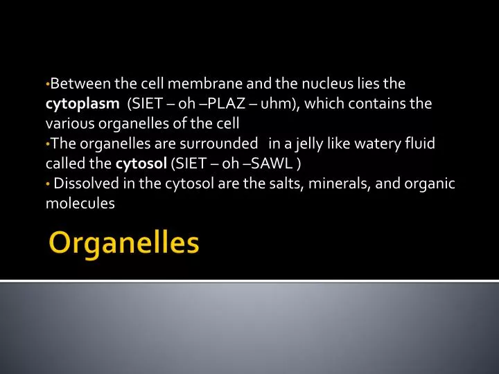 organelles