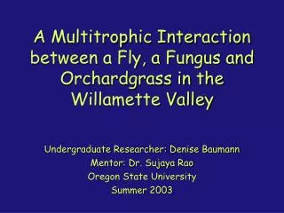A Multitrophic Interaction between a Fly, a Fungus and Orchardgrass in the Willamette Valley