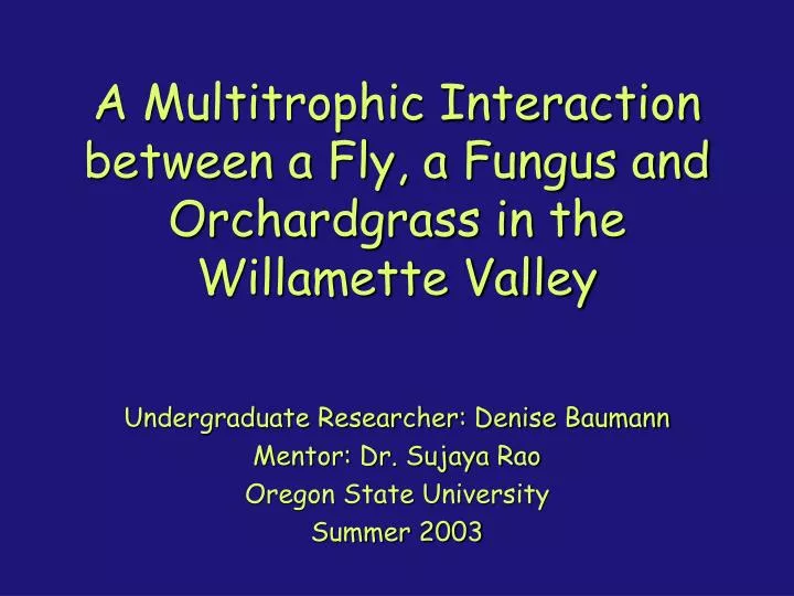 a multitrophic interaction between a fly a fungus and orchardgrass in the willamette valley