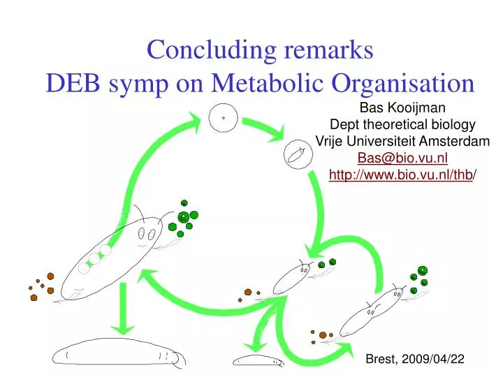 concluding remarks deb symp on metabolic organisation