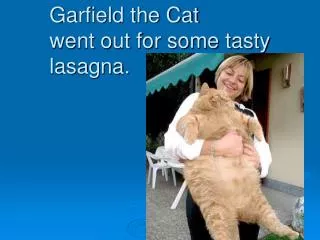 Garfield the Cat went out for some tasty lasagna.