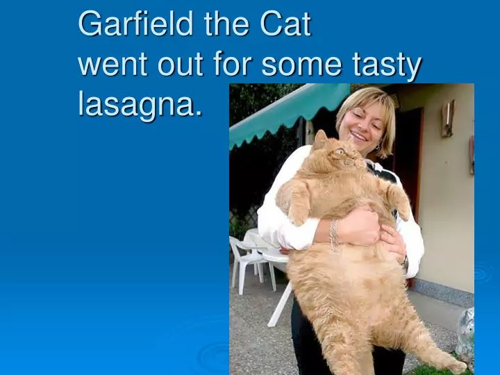 garfield the cat went out for some tasty lasagna