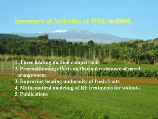 Summary of Activities at WSU in 2004 1. Three heating method comparisons