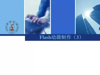 flash 3