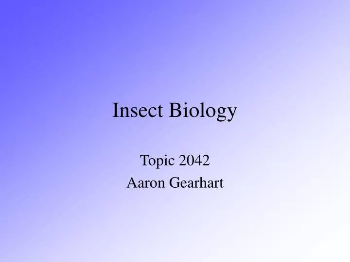 insect biology